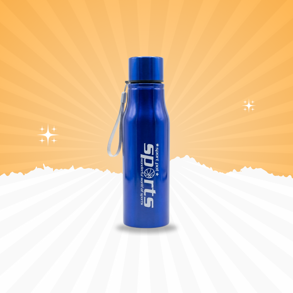 Premium Blue Stainless Steel Water Bottle with Carry Strap