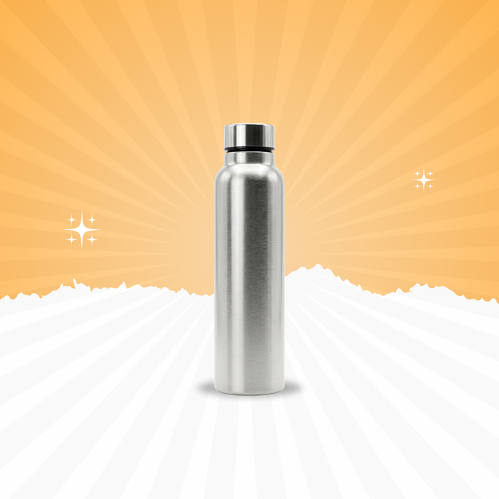 Premium Silver Stainless Steel Water Bottle